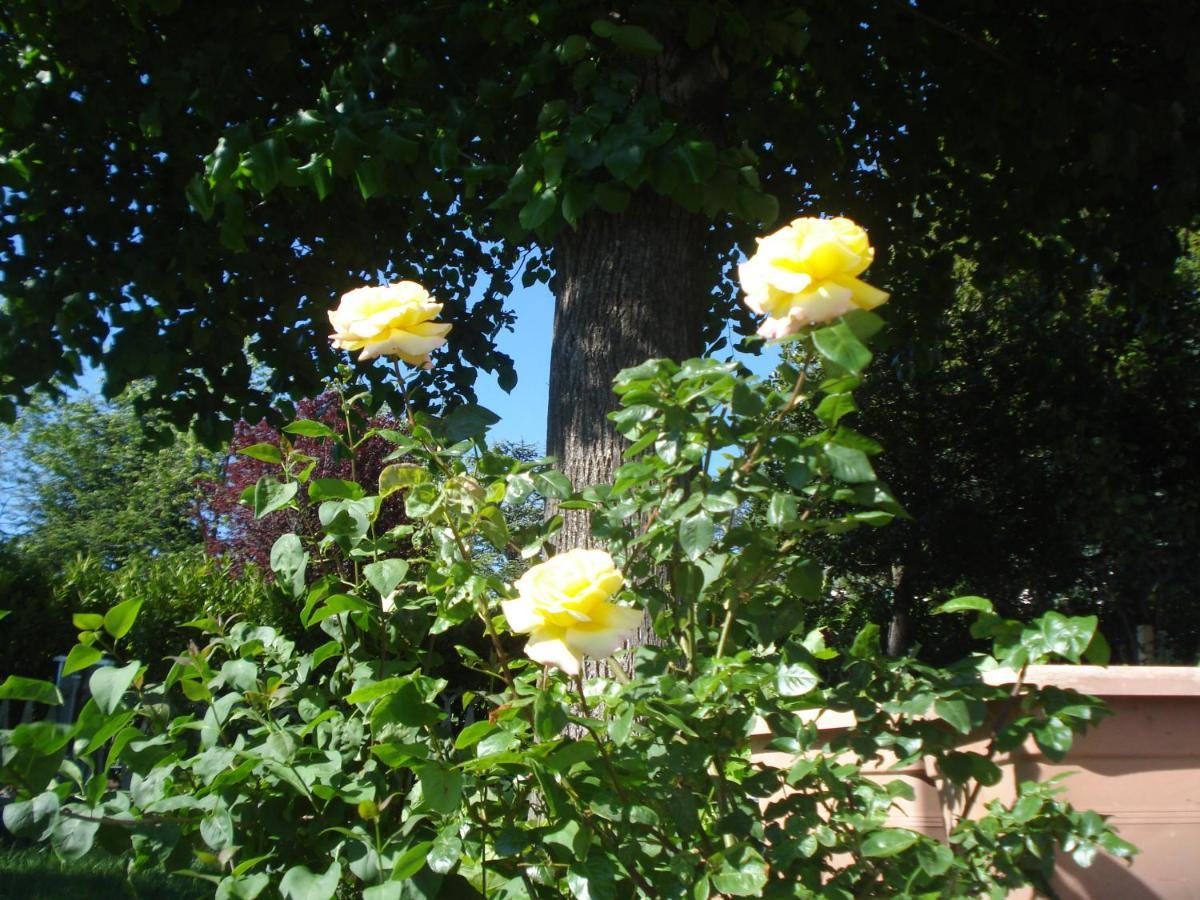 Tagliolo Monferrato Casa T Bed And Breakfast & Home Restaurant Di Tacchino Simone מראה חיצוני תמונה